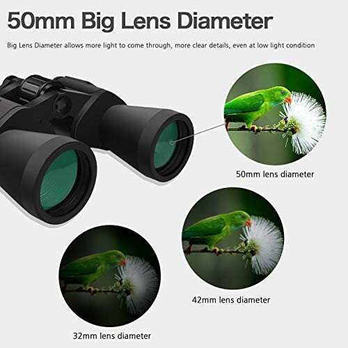 Comparison of binoculars lens diameters with images of a bird on a flower.